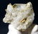 Fedan Quartz Crystals Cluster - 109.7 Grams - 2