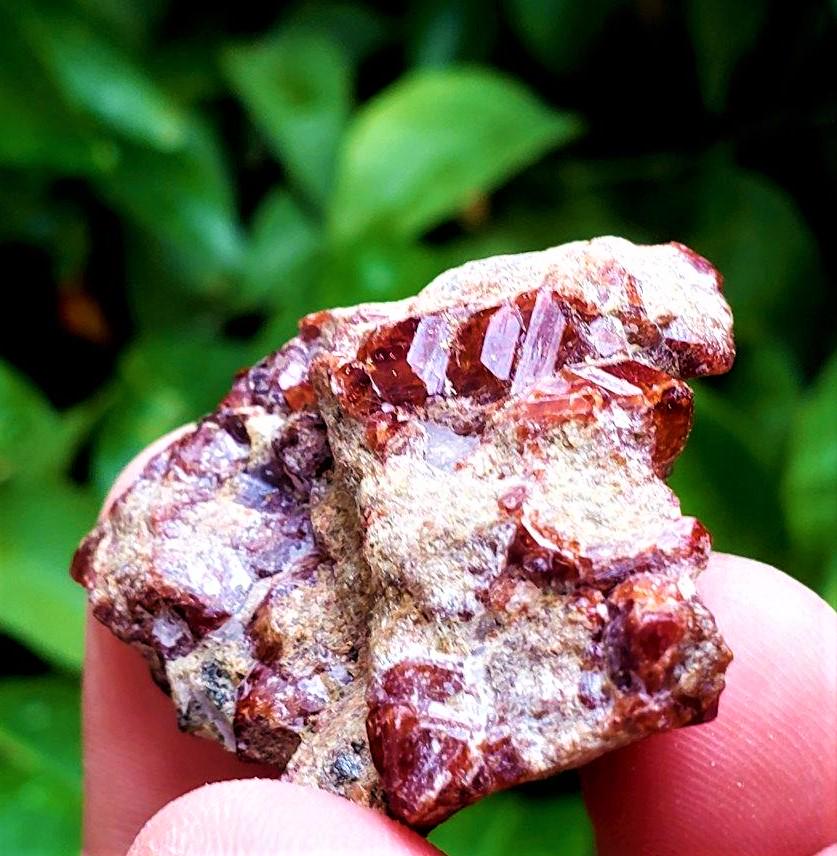 Garnet Crystals Cluster Specimen - 29.3 Grams (1 of 2)