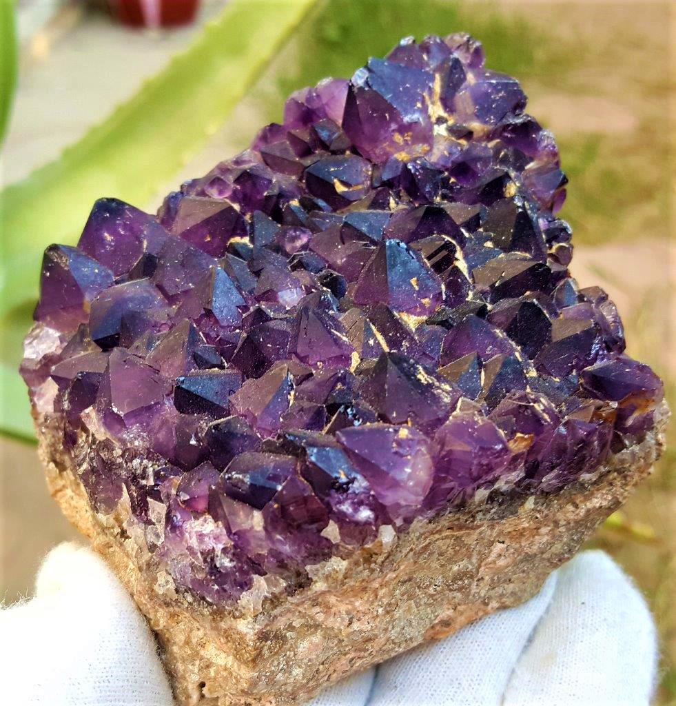 565.3 Grams Natural Amethyst Crystals Cluster (1 of 2)
