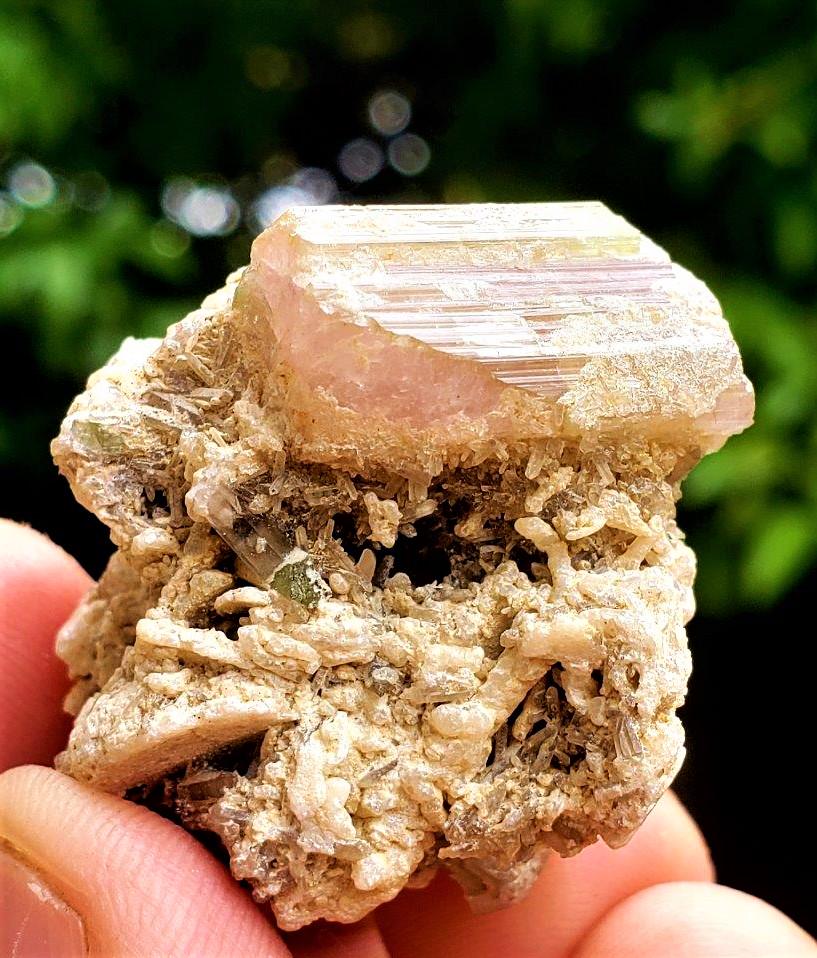 19.5 Grams Natural Tourmaline Crystal with Mother Rock (1 of 4)