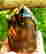 item-90042368=2