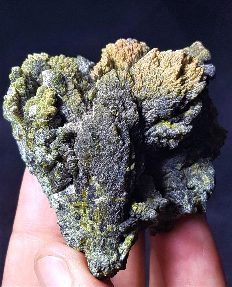 Beautiful Epidote Crystal Cluster Tree - Mineral (1 of 3)