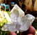 Healing Quartz Crystals Cluster - 76.7 Grams - 3