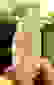 item-92044451=2