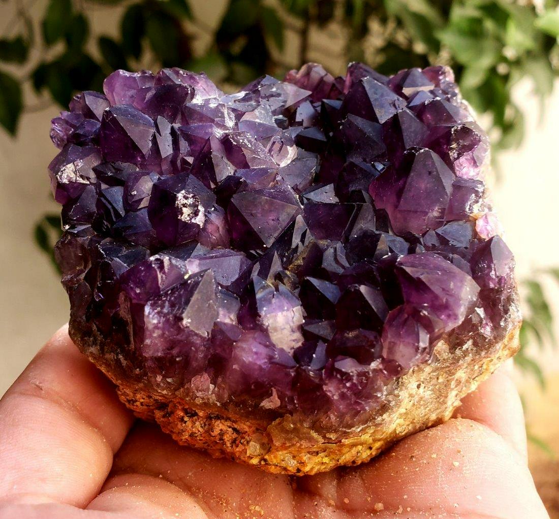 Amethyst Crystals Cluster SpeCimen - 420.6 Grams (1 of 5)
