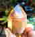 item-99209996=2