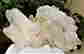 item-104205167=2