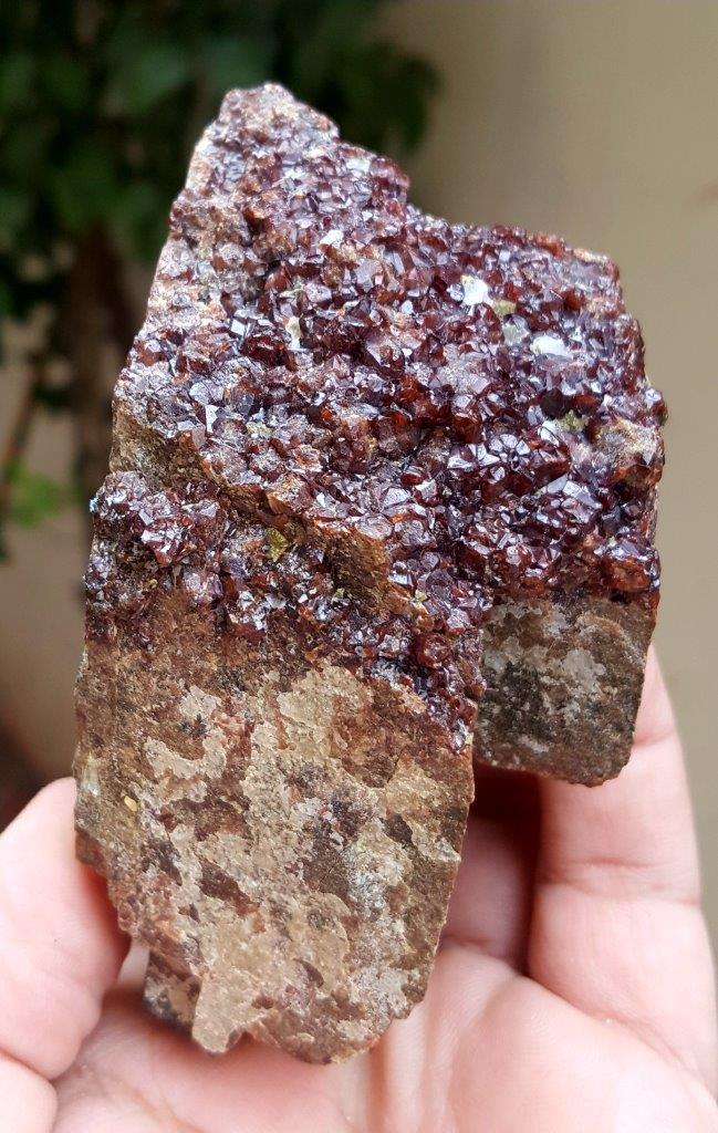 384.7 Grams Hessonite Garnet Cluster (1 of 3)
