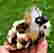 item-108915087=1