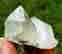 item-110281779=3