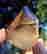 item-111840135=2