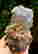 item-112486863=3