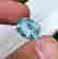 item-115317590=4