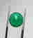 item-117184937=2