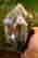 item-118413883=2