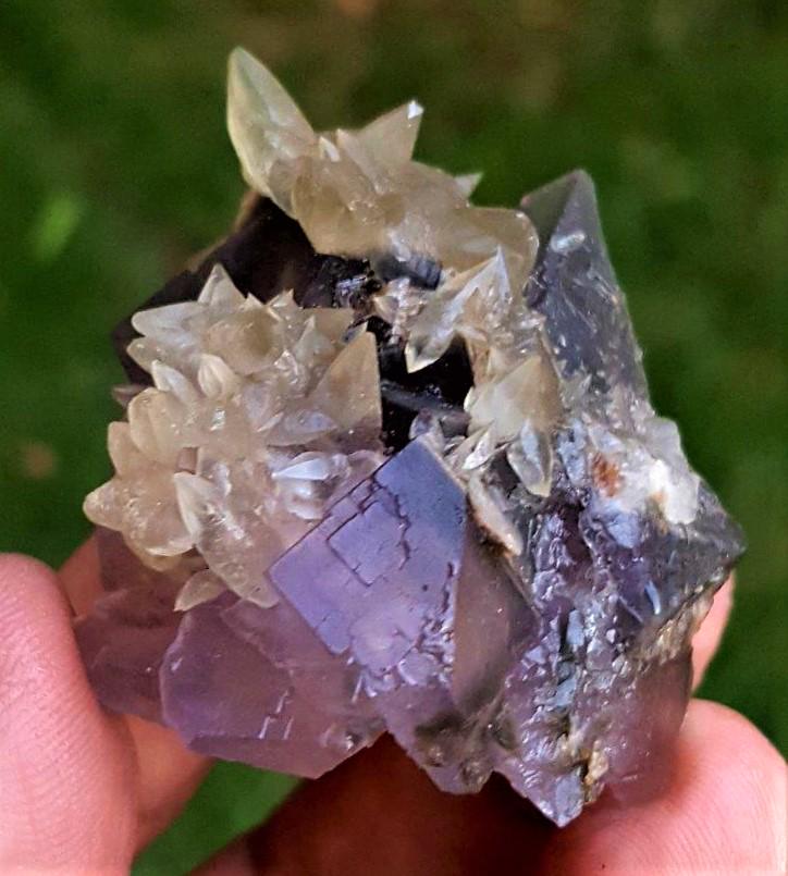 Dogtooth With Fluorite - 56 Grams (1 of 2)