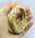 item-120401357=4