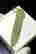 item-120401367=2
