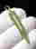item-120401367=4