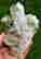item-120849257=3
