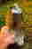 item-120849261=4