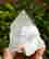 item-120849262=3