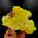 item-120849268=4