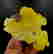 item-120849268=5
