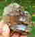 item-120849927=3