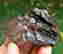 item-120850033=2
