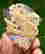 item-121350943=3
