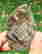 item-121351115=2