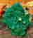 item-121351116=2