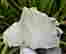 item-121351212=2