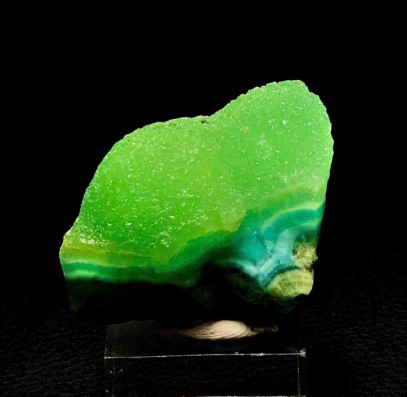 Hemimorphite Gibbsite Azurite Natural Mineral - 38.4 Grams (1 of 3)