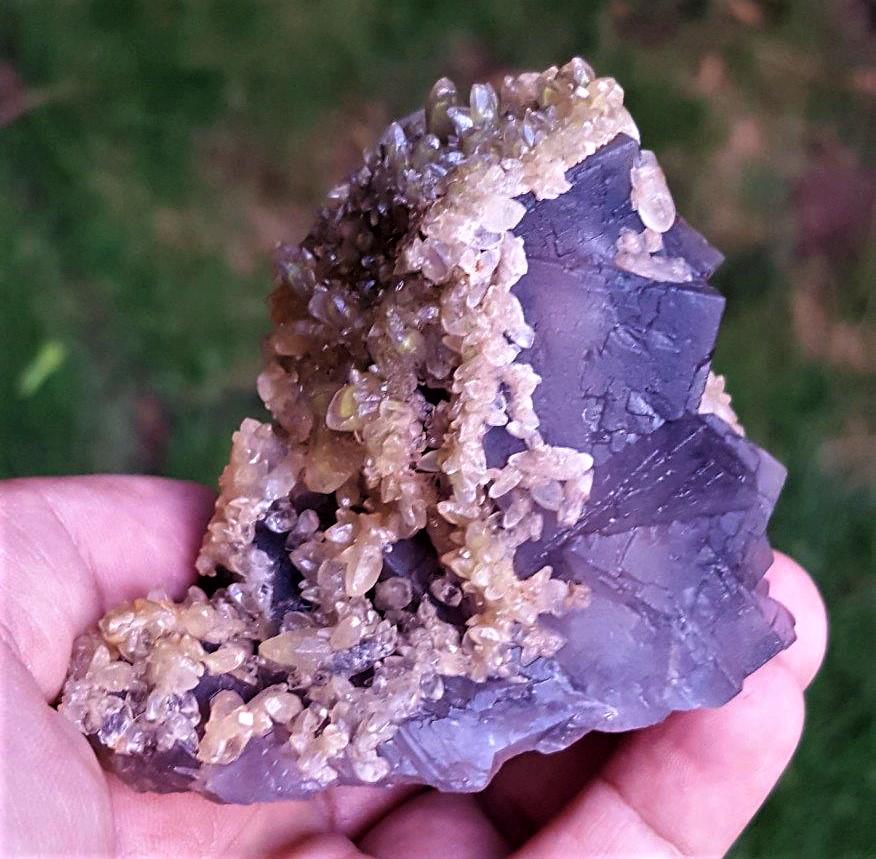 Lovely Specimen Fluorite With Dogtooth - 276 Grams (1 of 3)