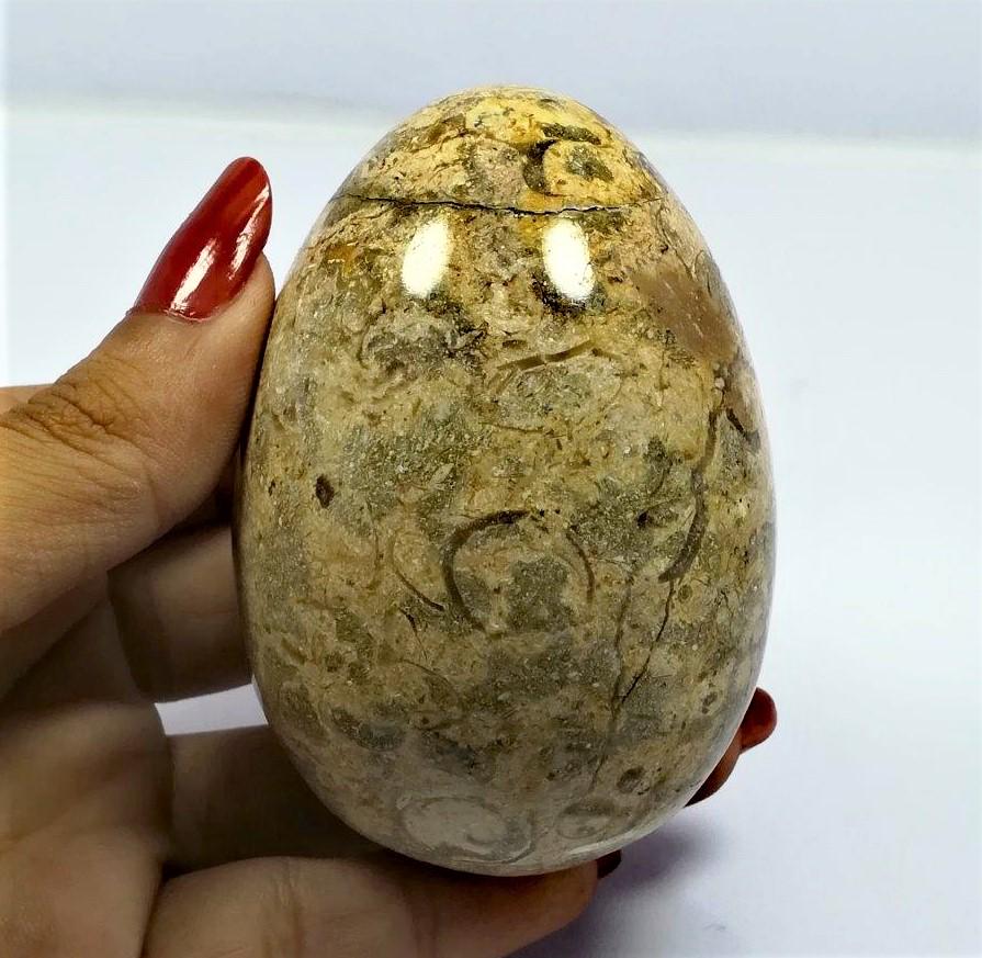 Coral Poliished Egg - 277.2 Grams: Coral Poliished Egg - 79.5X52X40mm - 277.2 Grams Shipping: $36.00. Shipping rates are determined by Parcel weight and destination.