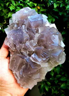 Purple Cubic Fluorite specimen - 1226 Grams: Purple Cubic Fluorite specimen - 1226 Grams - 195X126X52 mmShipping Rate: $85.00 .shipping rates are determined by Parcel weight and destination.Combined shipping: We offer combine shipping on