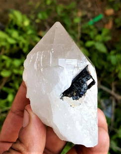 Undamaged Quartz With Black Tourmaline - 182.2 Grams: Undamaged Quartz With Black Tourmaline - 182.2 Grams - 74X57X40 mmShipping Rate: $23.00 .shipping rates are determined by Parcel weight and destination.Combined shipping: We offer combine shipping on