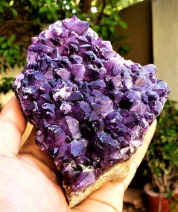 Amethyst Crystals Cluster SpeCmen - 620.7 Grams: Amethyst Crystals Cluster SpeCmen - 620.7 Grams - 129X104X51 mmShipping Rate: $55.00 .shipping rates are determined by Parcel weight and destination.Combined shipping: We offer combine shipping on