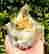 item-127789183=4