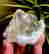 item-128963699=3