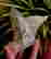 item-128963720=2