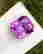 item-129074693=2