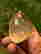 item-129333570=2