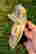 item-129333693=3