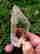 item-129333713=2