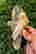 item-129334045=2