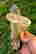 item-129334045=3