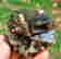 item-129334265=3